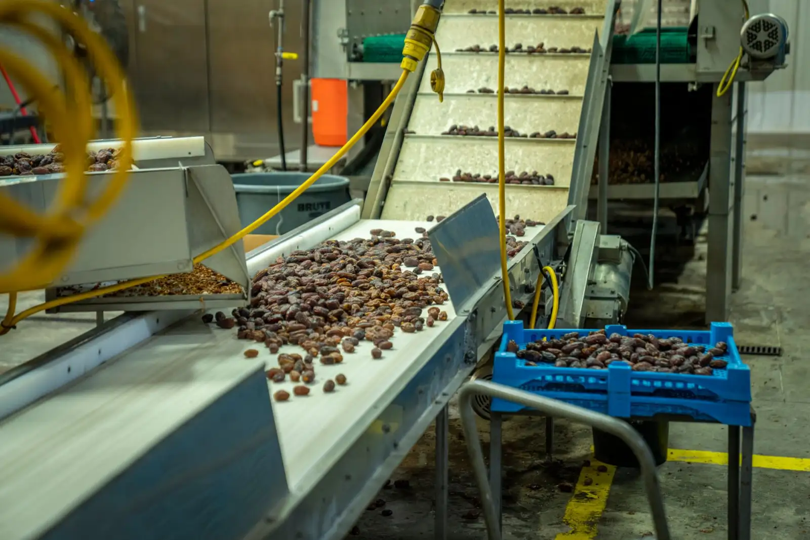 食品加工企业虫控管理要点与广西博克消毒服务应用解析正文配图 1