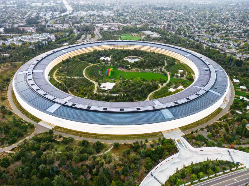 2024年广西地区有害生物治理服务价格趋势与环保药剂选用指南
