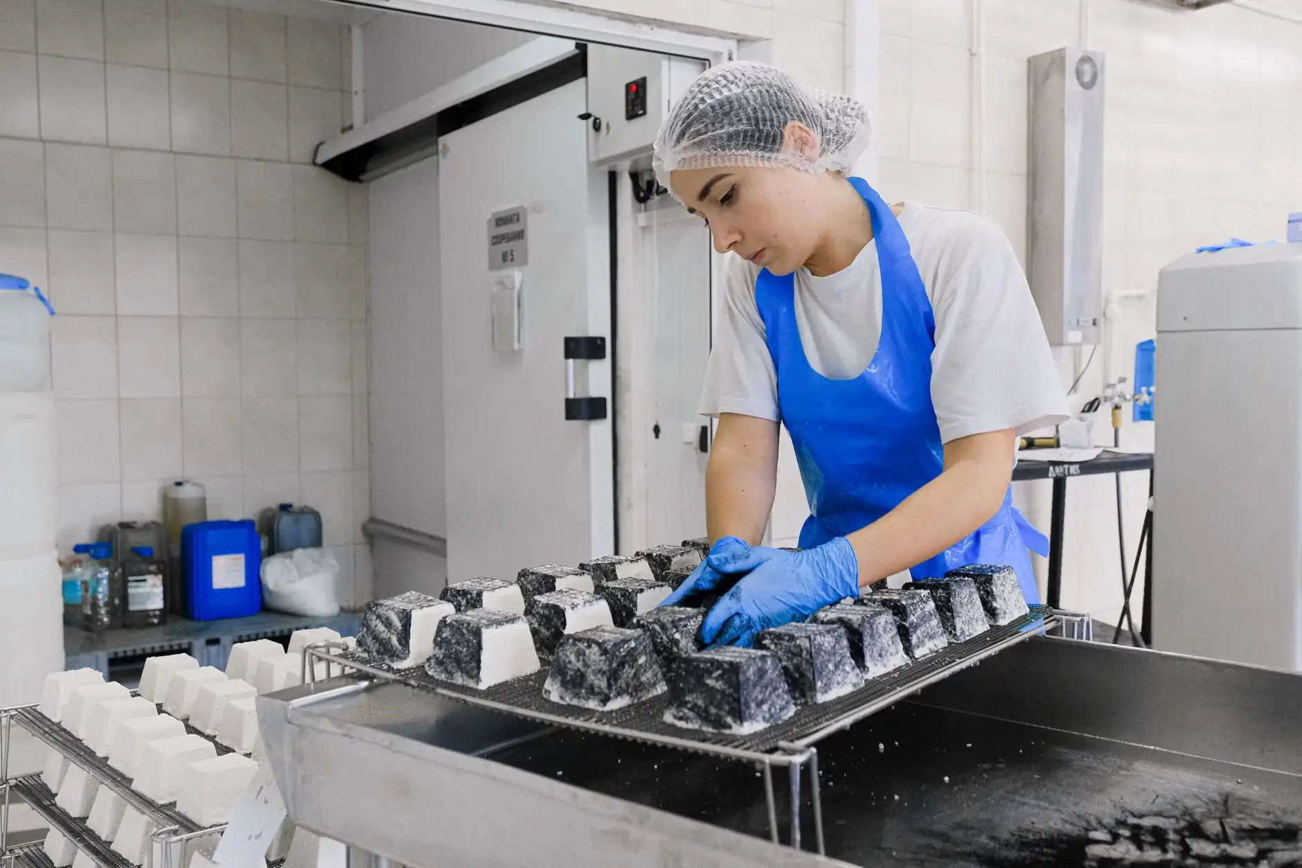 广西博克有害生物防治:食品加工企业虫控工程服务方案详解正文配图 1