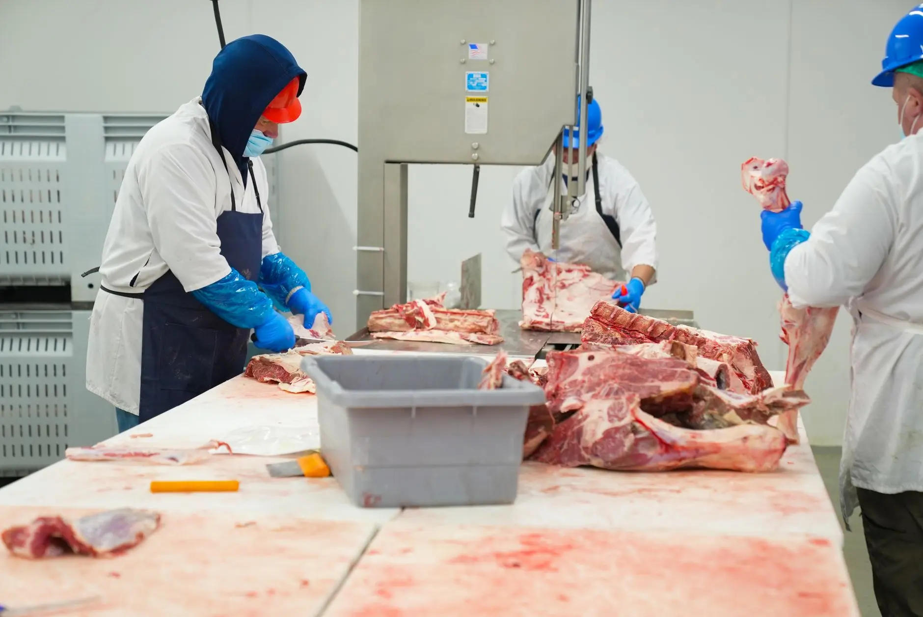 餐饮门店有害生物综合防治方案设计与实施流程